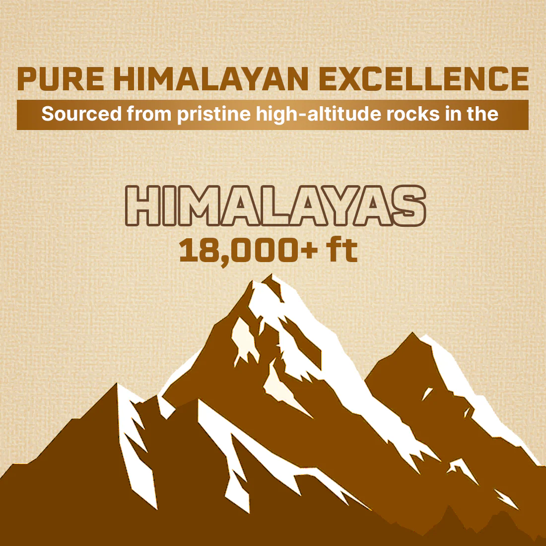 Himalayan Shilajit+ Capsules | 90 Day Pack - Image 4