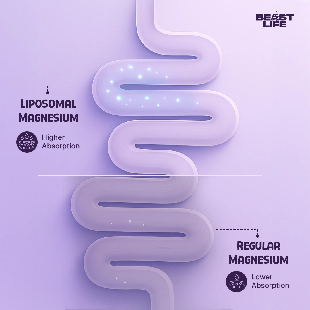 Liposomal Triple Magnesium+ | 45 Day Pack - Image 10