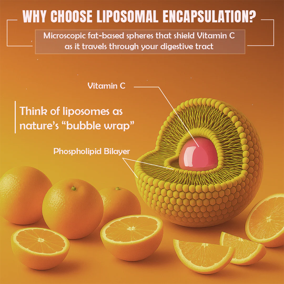 Liposomal Vitamin C | 60 N - Image 4