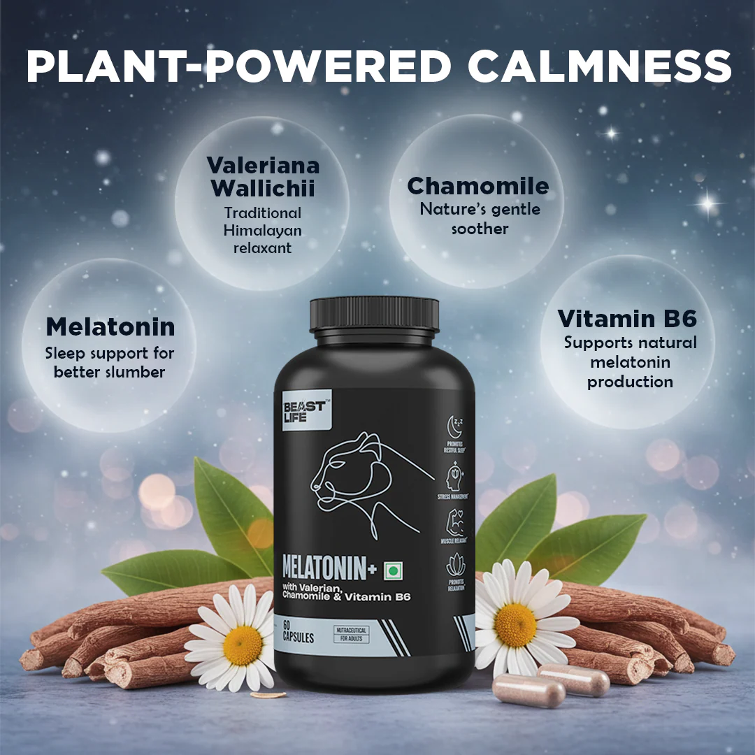Melatonin+ 5 mg with Valeriana & Chamomile | 60 N - Image 3