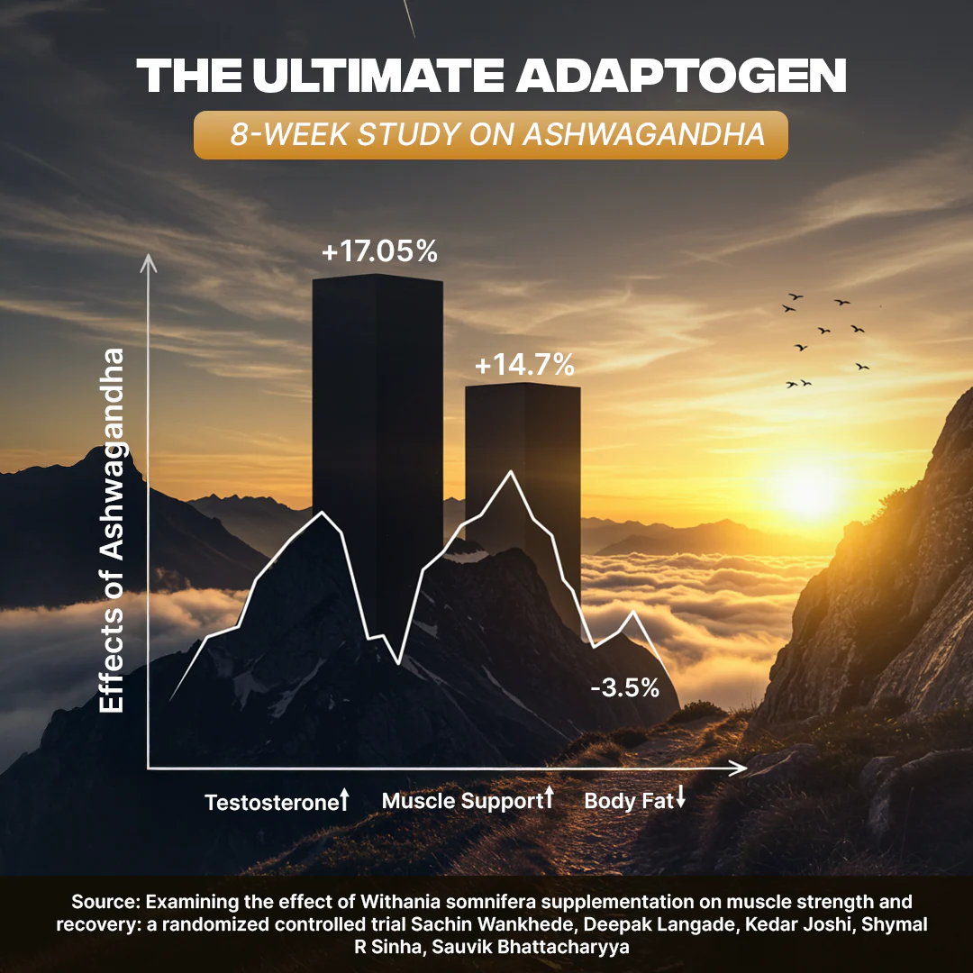 TESTO BOOSTER+ CAPSULES | 30 N - Image 8